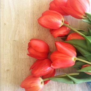 Meet your Posher, Bianca